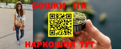молекула духа Пугачёв