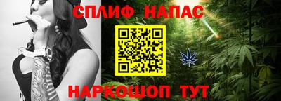 молекула духа Пугачёв