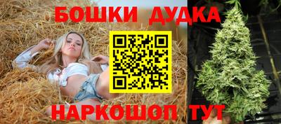 молекула духа Пугачёв