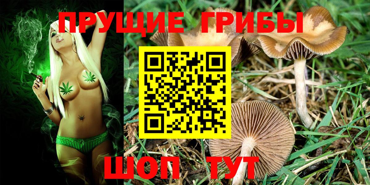 Псилоцибиновые грибы Cubensis  что такое   Галлюциногенные грибы мухоморы  Самара  Вход с VPN 